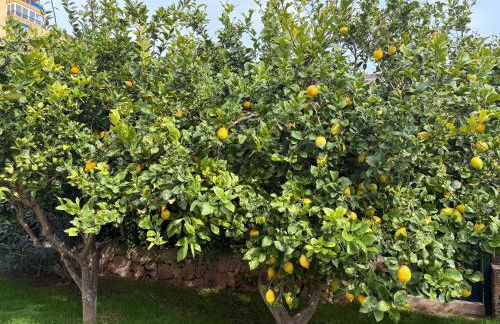 VILLA Henry - Foto 5