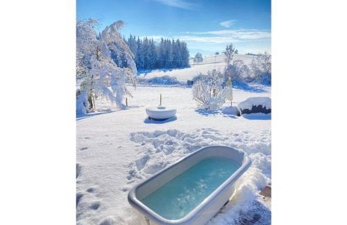 Tiny House Alpenpanorama Chalet Igluhut - Foto 9