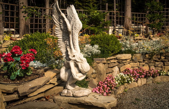 Stone Hearst - Foto 27