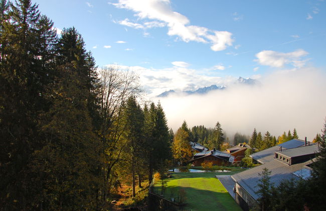 Mandarin 7 - Foto 16