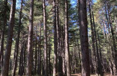 Etna Charming Apartment - Foto 43