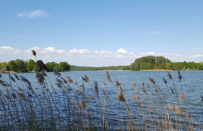 Narrow Luzin Modern Retreat - Foto 14