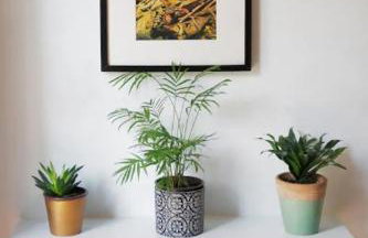 Tiny Studio Suite - Foto 8