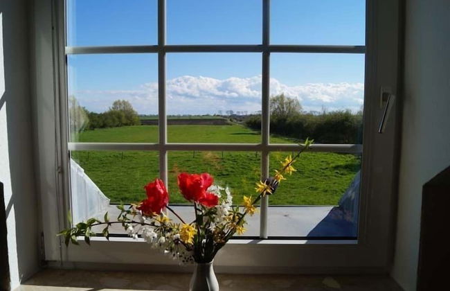 Haus an der Pferdekoppel - Foto 42