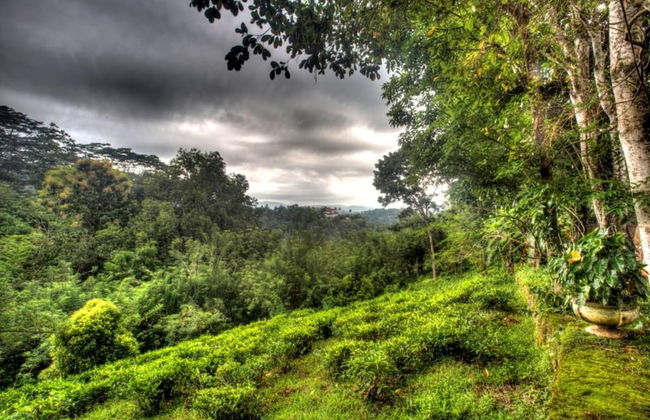 Captain's Bungalow - Foto 53