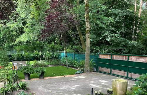 Hirschblick - Foto 5