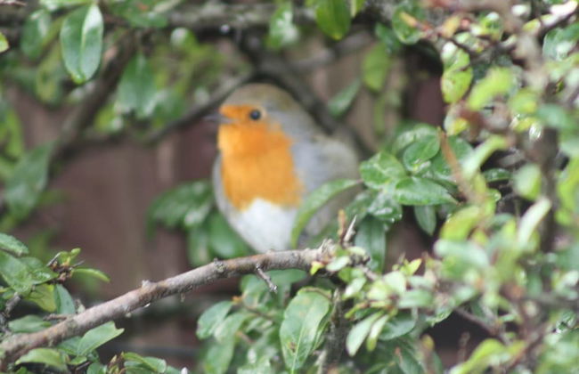 Queens Road Rental - Winchester Accommodation - Foto 43