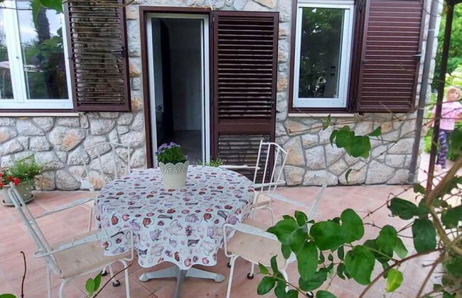 Green Garden Oasis - Photo 20