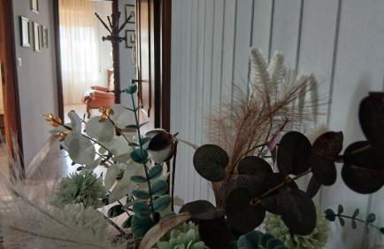 Villa MarHel Arbatax - Foto 7