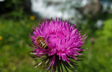 Appartement César de standing plein centre - Foto 11