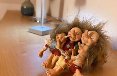 TROLLHUS - Großes familienfreundliches Ferienhaus - Foto 55