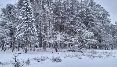 Peaceful 1-Acre Parksville Home Large Deck and Yard - Foto 2