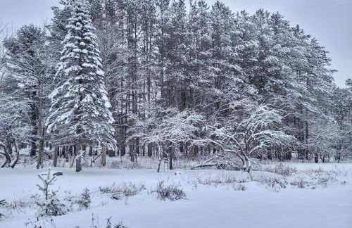 Peaceful 1-Acre Parksville Home Large Deck and Yard - Foto 2