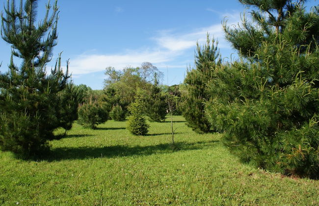 Château De Grenier Apartment - Foto 15