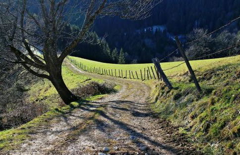 Villa Karlsbach - Foto 22