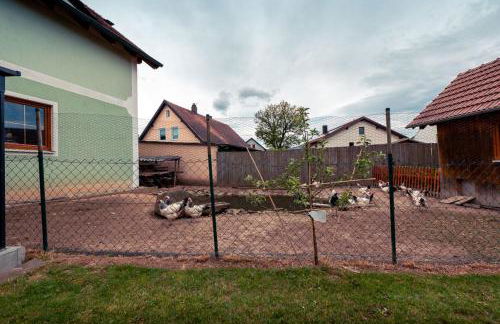 Eslarner Zoiglstum beim Strehern - Foto 28