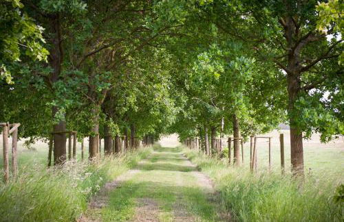 Elbferienhaus-an-der-Elbe - Foto 41