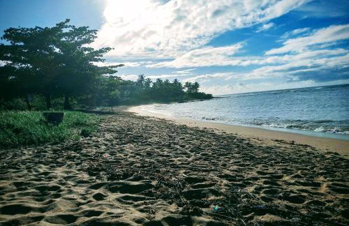 Casa em frente à Praia dos Padres - Foto 19