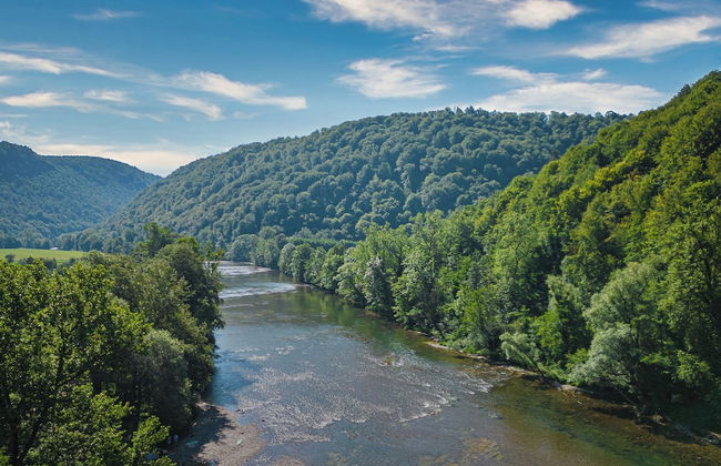 Vineyard Suite Kolpa Zupancic B - Foto 22