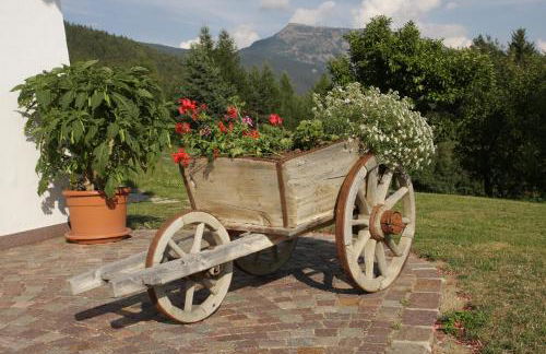 Gspoi-Hof - Photo 15