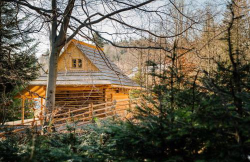 Sopki Stopki Polana Wspólna - Foto 19