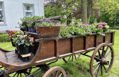 Steinhaus Hof - Foto 77