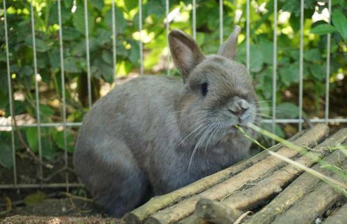 Ferienwohnung Atteltal - Foto 30