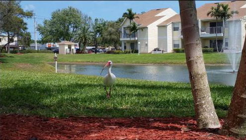 Beachside Pond View Retreat - BC155 - Foto 4