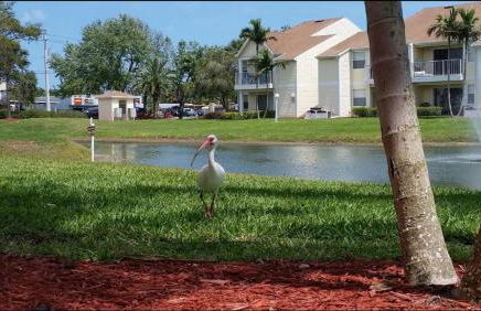 Beachside Pond View Retreat - BC155 - Foto 4