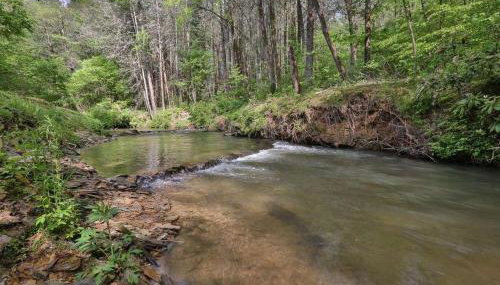 Creekside Hideaway - Foto 3