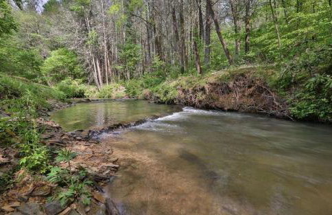 Creekside Hideaway - Foto 3