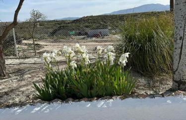 Alojamientos CUEVAS TIANA - Photo 15