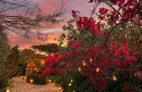 Villa Grace - Foto 47