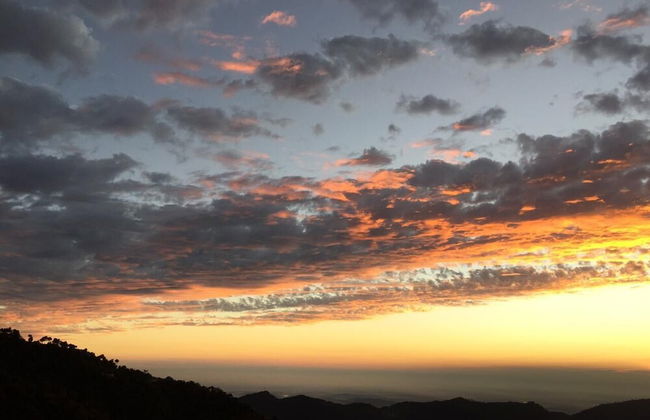 The Bryll Homes - Foto 14