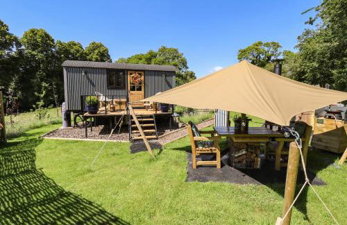 Limetree Luxury Glamping Southdown - Foto 17