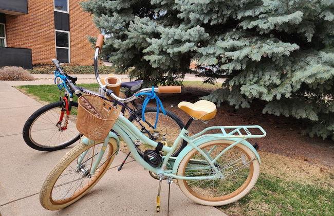 The Fox Den in Old Town! Pool, Sauna & Game Room - Foto 29