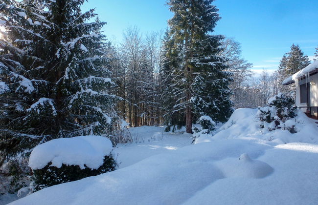 Zum munteren Eichhörnchen - Foto 25