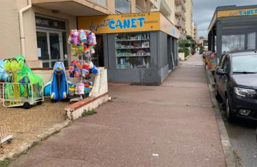 Appt cozy terrasse front de mer clim parking wifi - Foto 30