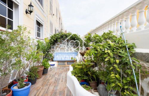 Ave Fénix San Isidro, by Nivariahost - Foto 21