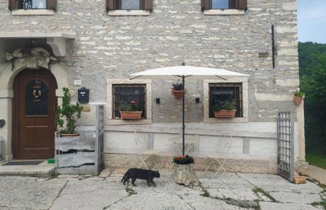 Dolci Vecchi Ricordi in Valpolicella - Foto 11