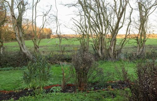 The Hare and Bumblebee Cottage - Foto 38