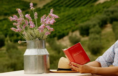 Agriturismo Fiorano - Foto 43