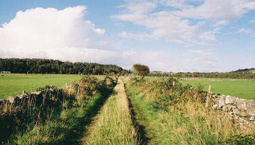 The Galloway Steading: Countryside Family Retreat with Sauna and Hot tub - Foto 2