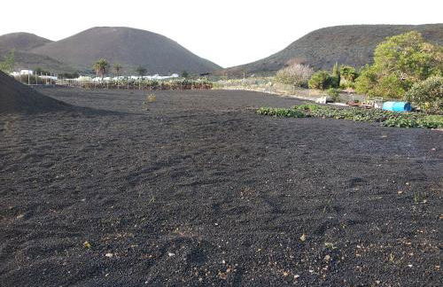 Finca la Tabaiba piscina compartida adultos - Foto 26