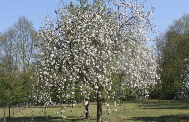 Restyled Bungalow with Dishwasher near Nature Reserve - Photo 25