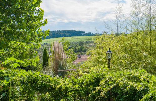 Moinhos do Pisão - Foto 20