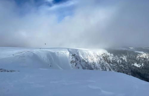 Le Nichoir - Foto 14