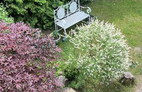 Ferienhaus in Polen- an den kaschubischen Seen - Foto 19