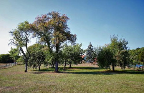 Ferienwohnung Röhrer - Foto 30