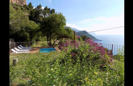 C'an Co Banyalbufar - Foto 32